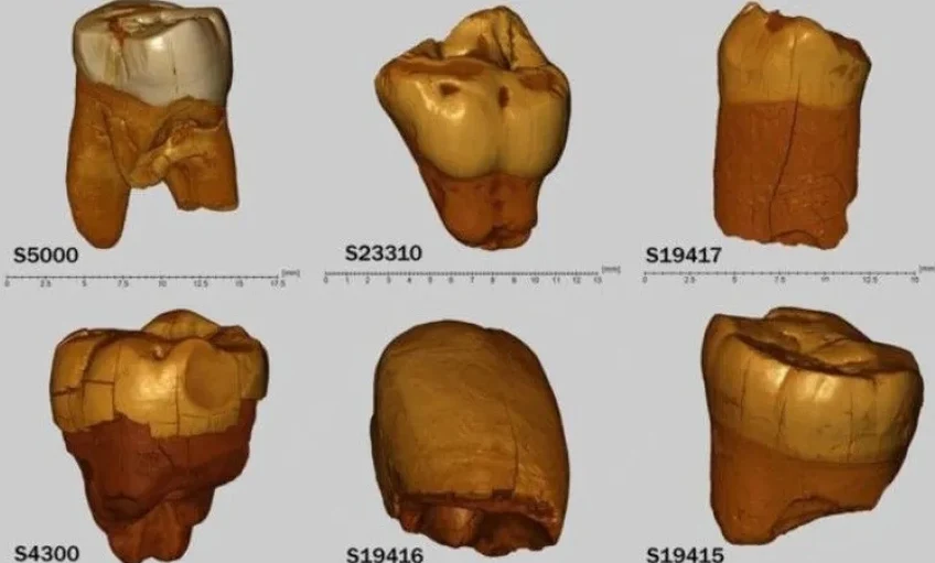 Neandervölgyi migrációs központ volt az őskori Közép-Európa