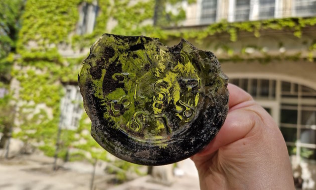 Mátyás vadászkastélyának nyomait kutatják az ELTE Füvészkertjében