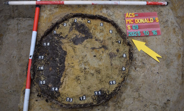 Rejtélyes faedényt tártak fel az M1-es autópálya építésekor