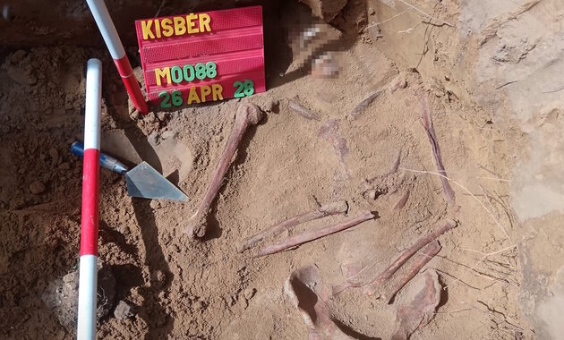 Huszonhat második világháborús magyar katonát exhumáltak Kisbéren