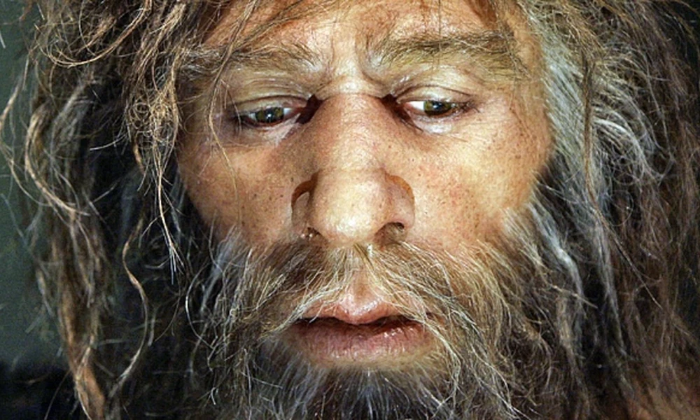 Neandervölgyi