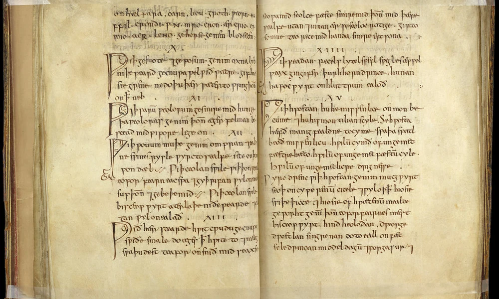 Medicinale Anglicum