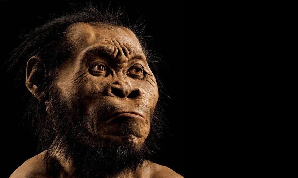 Homo naledi