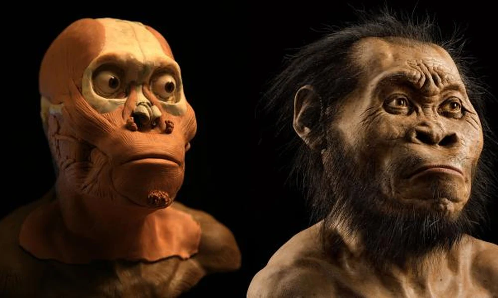 Homo naledi