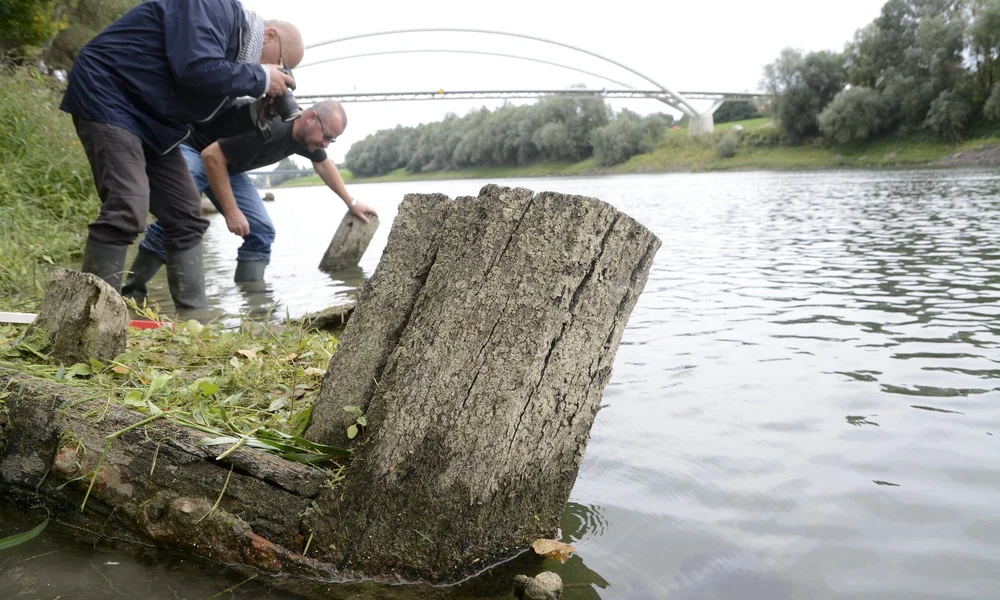 Elsüllyedt bőgőshajók maradványai a Tiszában