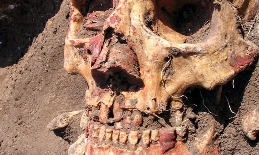 Pestises koponya