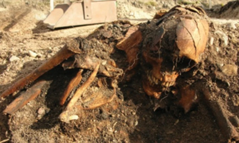 Emberi maradvány a Salme-2-ről