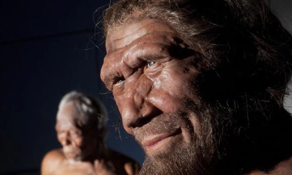 Neandervölgyi ember