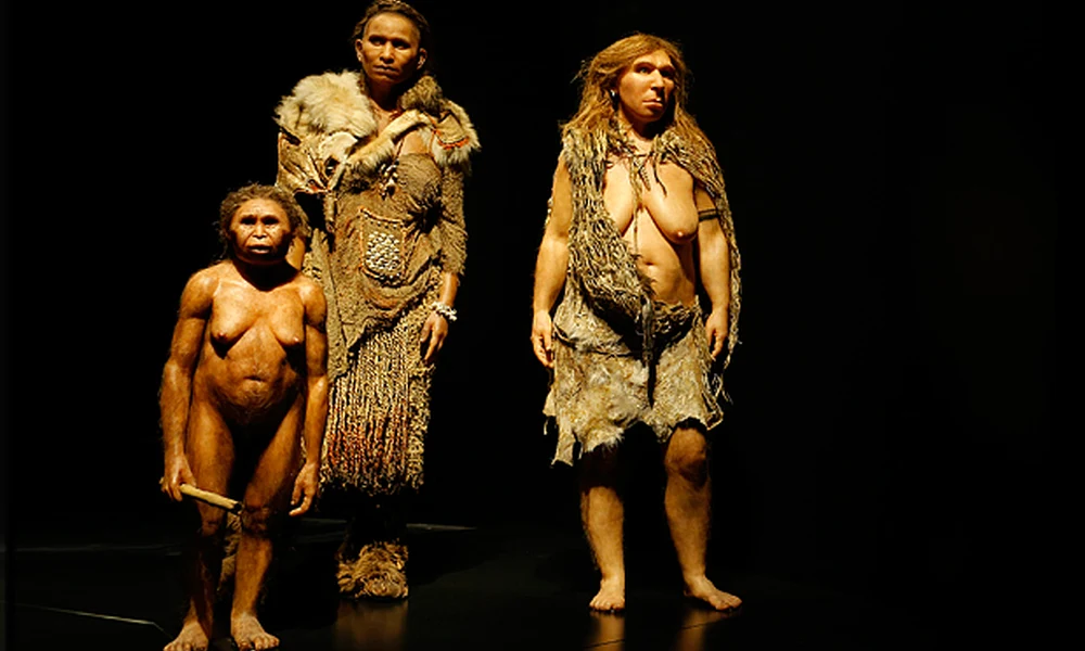 Homo floresiensis