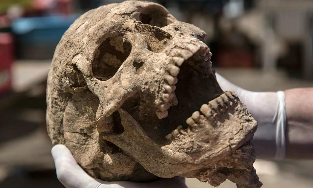 Filiszteus emberi maradványok