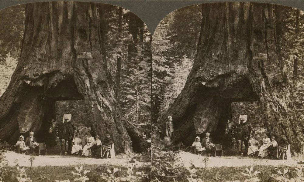 Pioneer Cabin