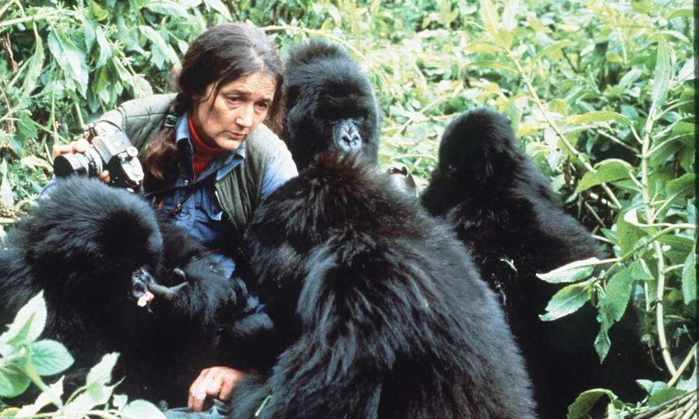 Dian Fossey