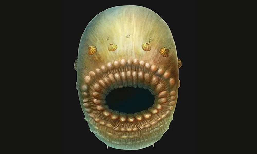 Saccorhytus