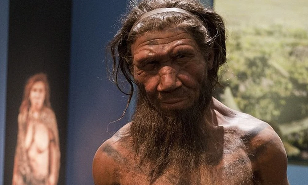 Neandervölgyi