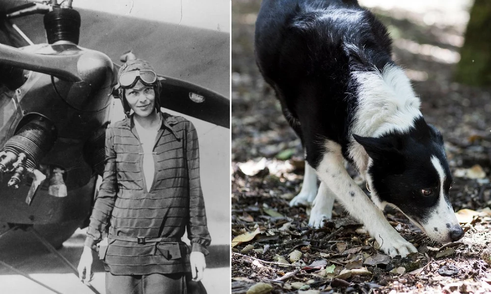 Amelia Earhart