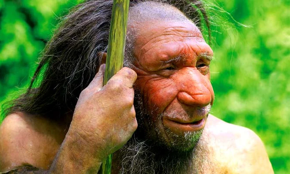 Neandervölgyi ember rekonstrukciója