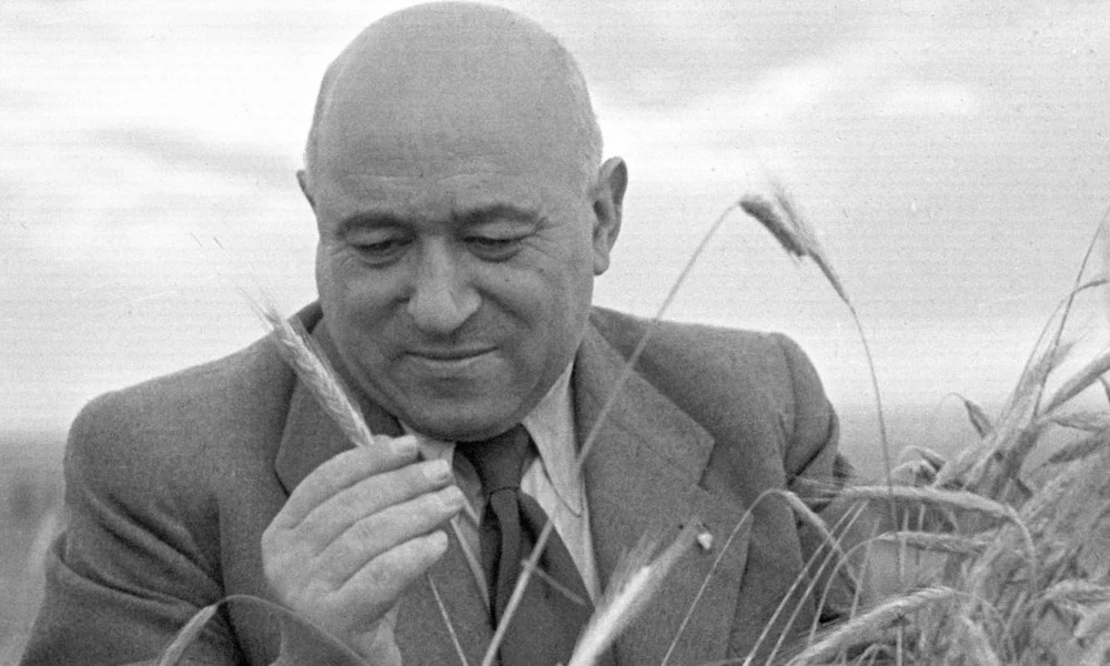Rákosi Mátyás
