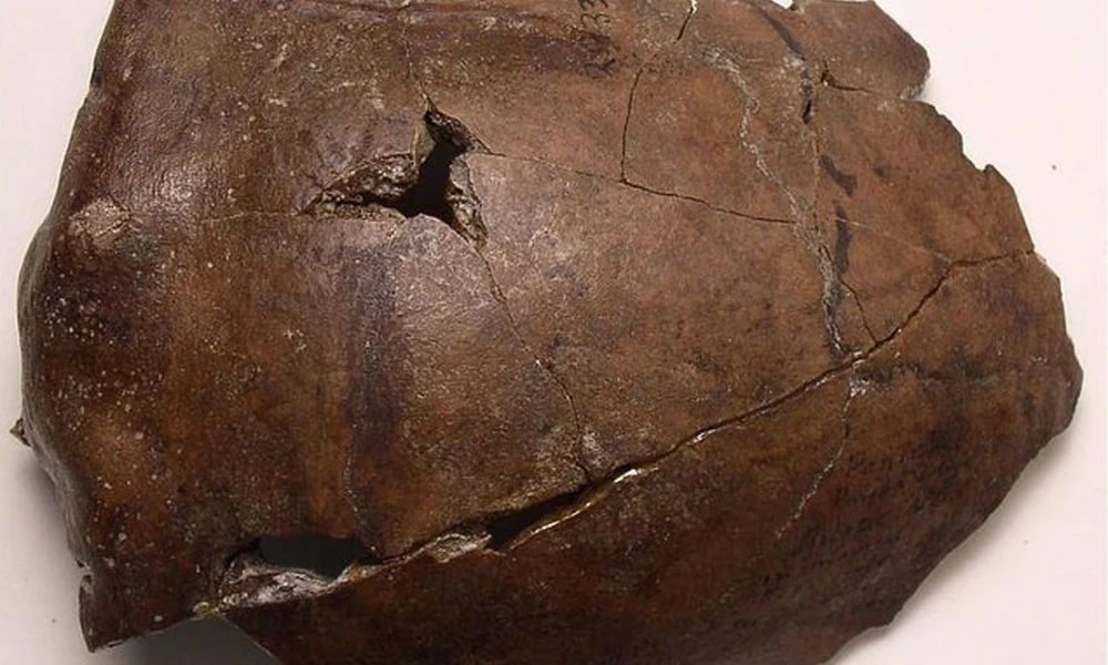6 ezer éves cunamiáldozat maradványait azonosították Pápua Új-Guineán