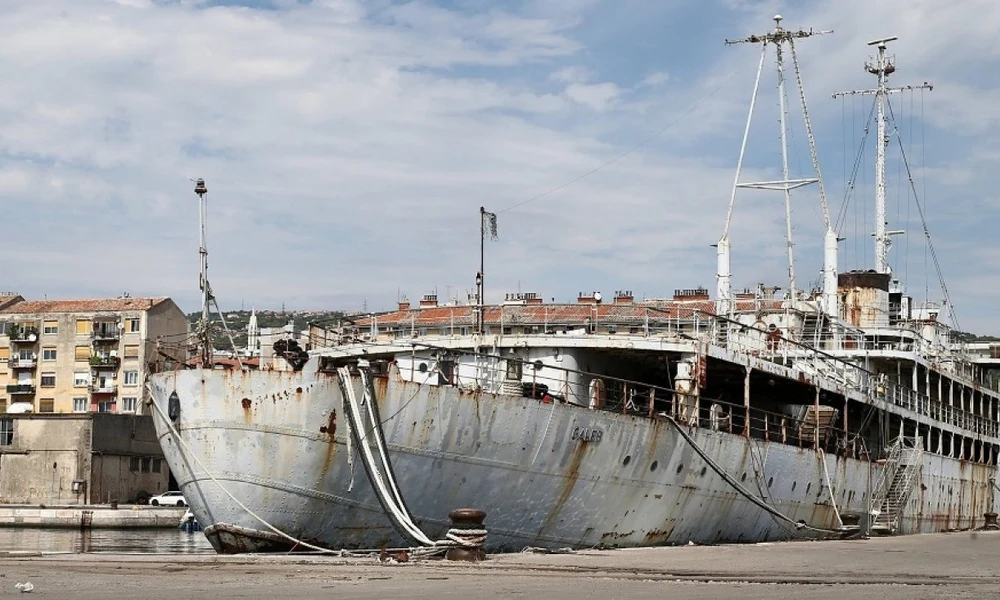 Galeb