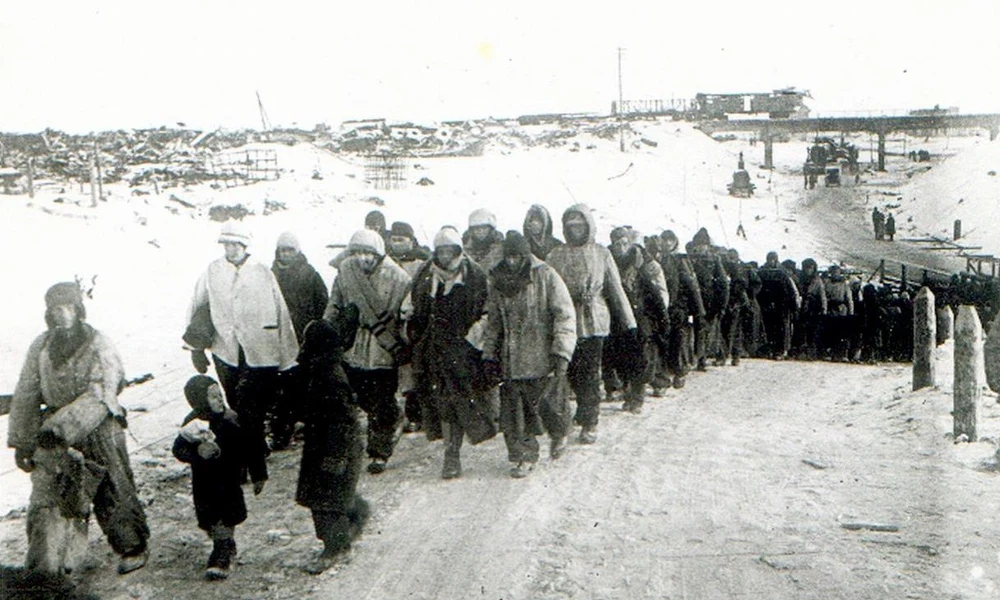 Kapitulált németek 1943. február 2-án