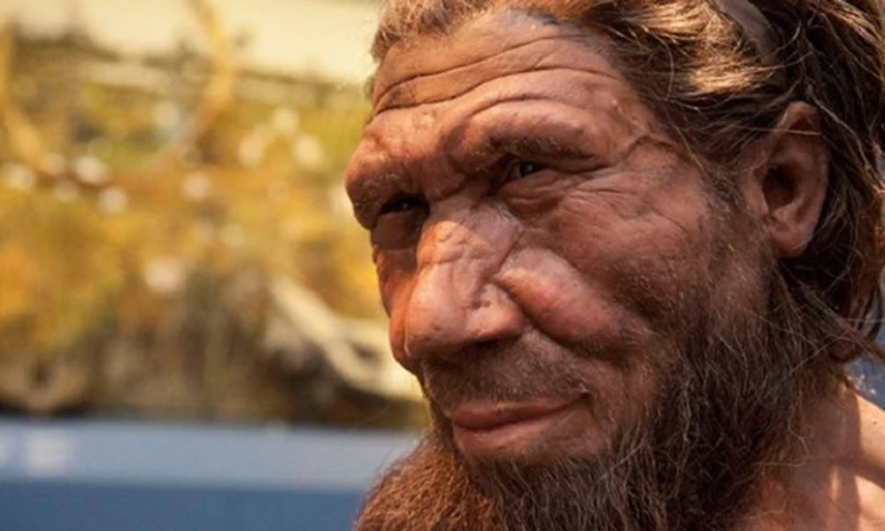 Neandervölgyi ember