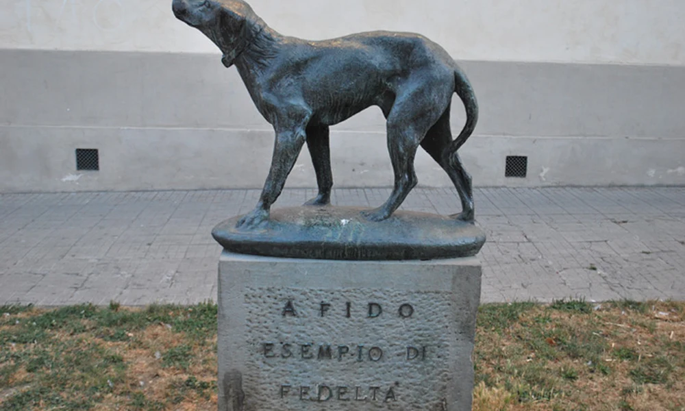 Fido