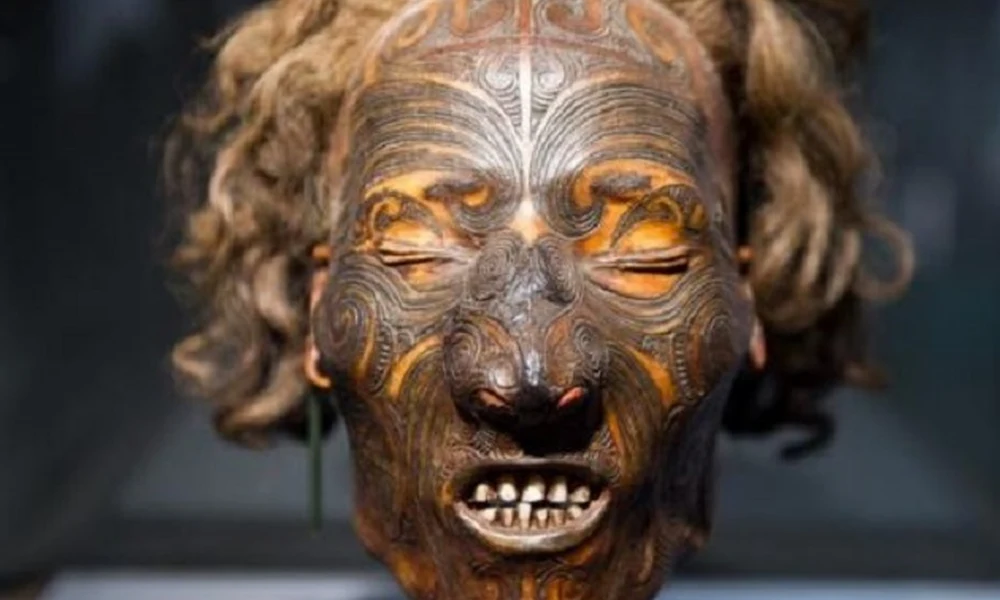 Maori koponya