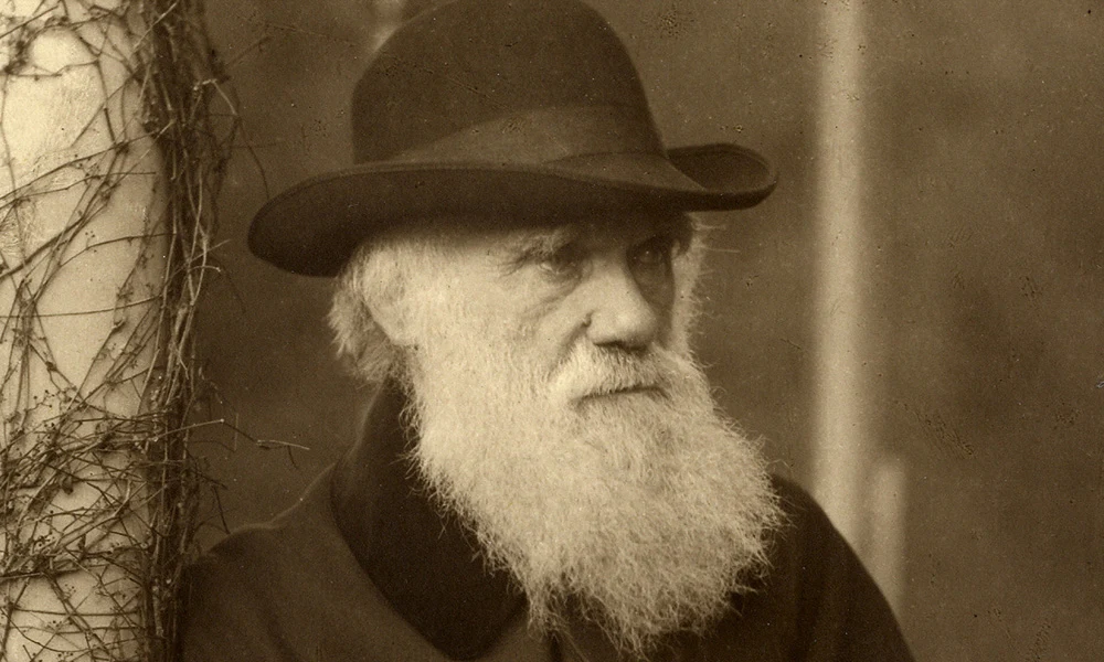 Darwin