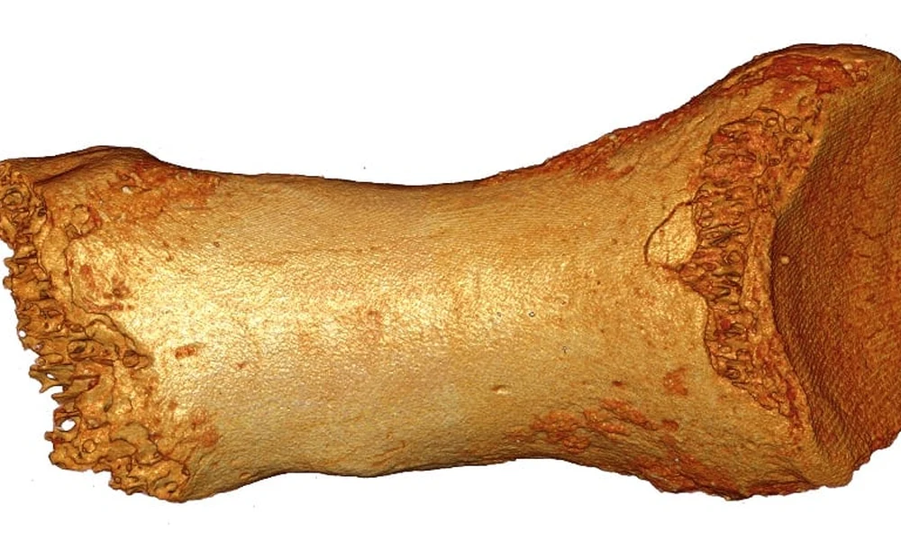 neandervölgyi gyenyiszovai