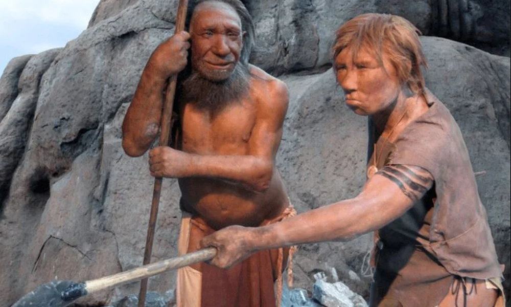 Neandervölgyiek replikái a metmanni Neandervölgyi Múzeumban