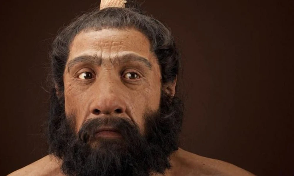 Neandervölgyi ember