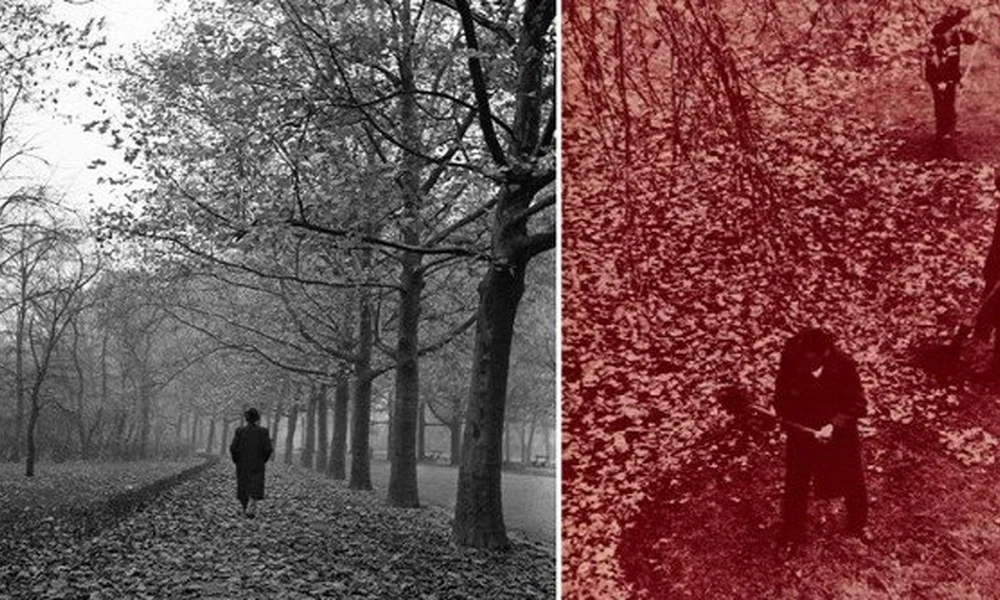A levelekkel borított őszi sétány is kedvelt témája volt a 20. század első felében működő fotósoknak