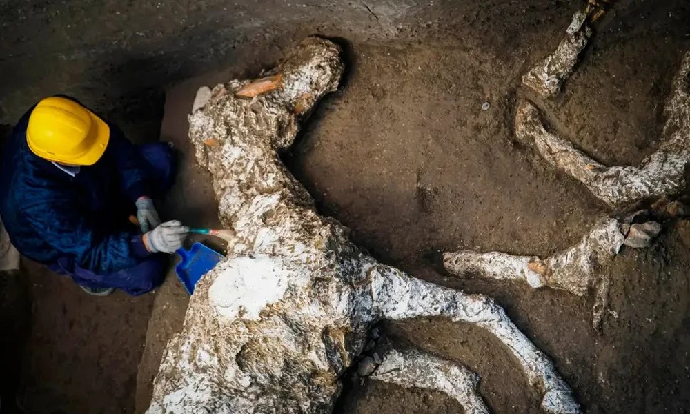 Pompejii ló