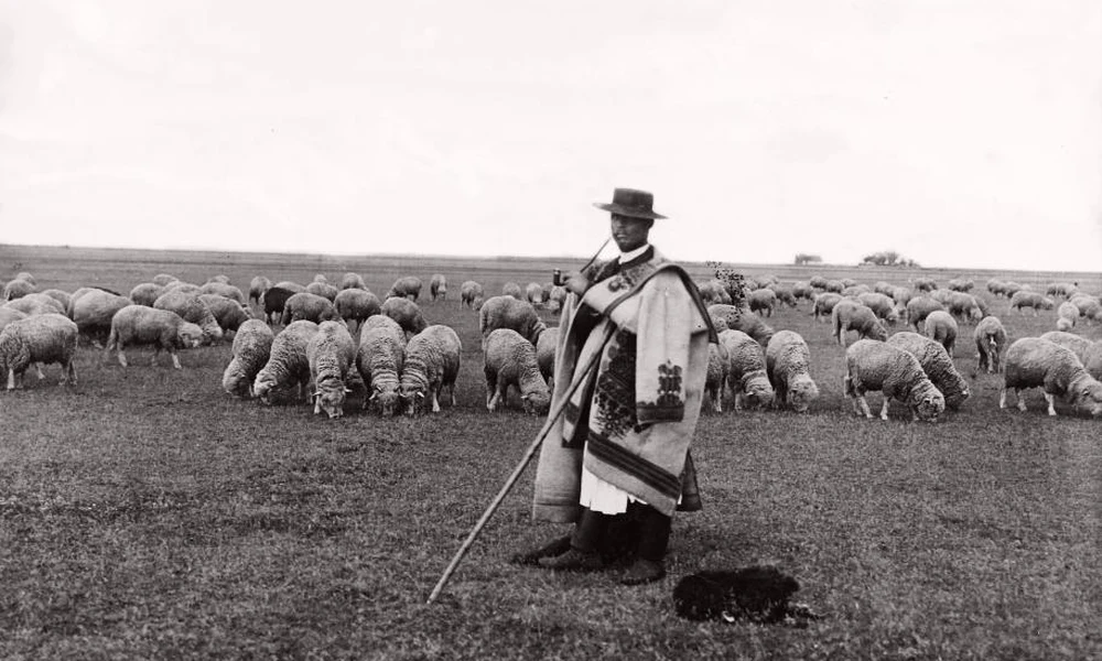 Juhász juhnyájjal, Hortobágy, 1908