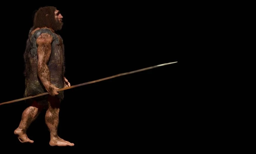 Neandervölgyi