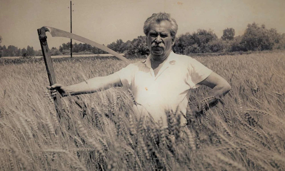 Móricz