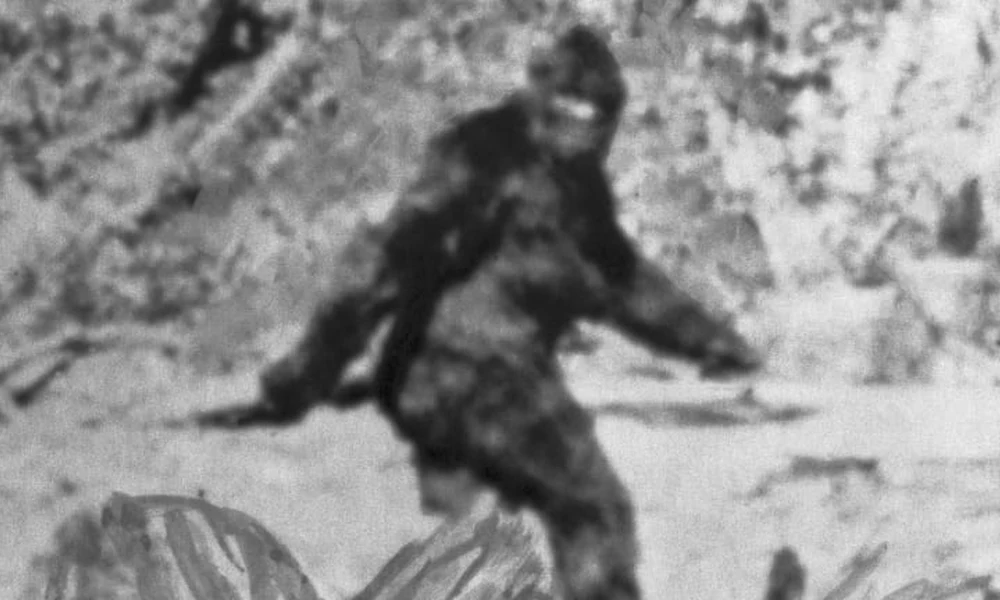Bigfoot