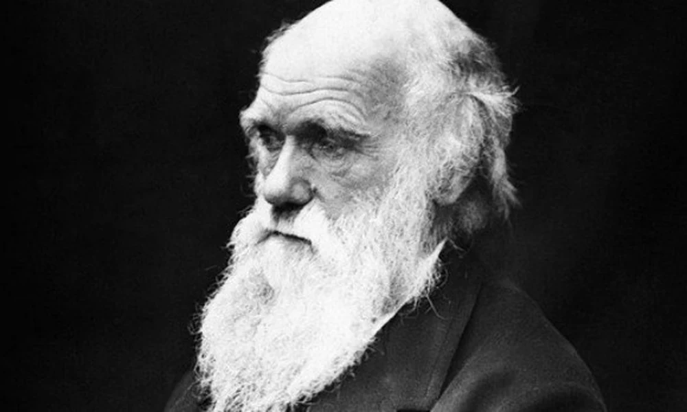 Darwin