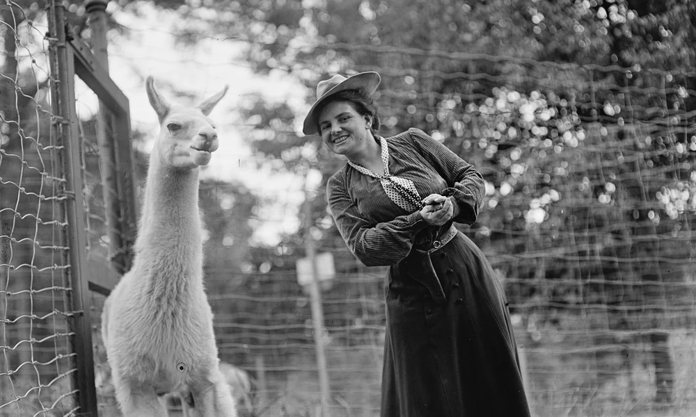 Harriet Chalmers Adams
