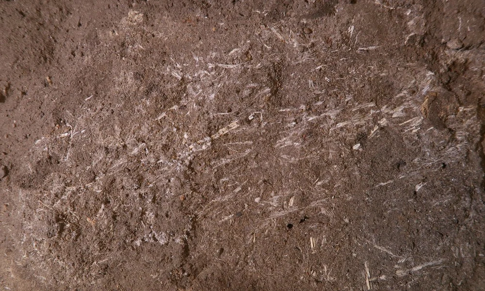ágy