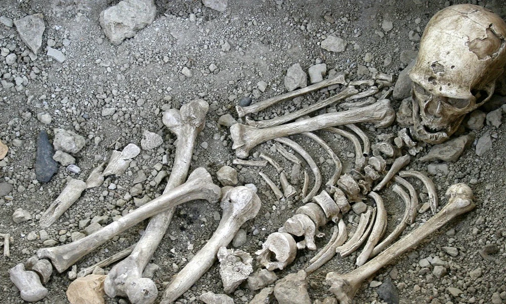 neandervölgyi