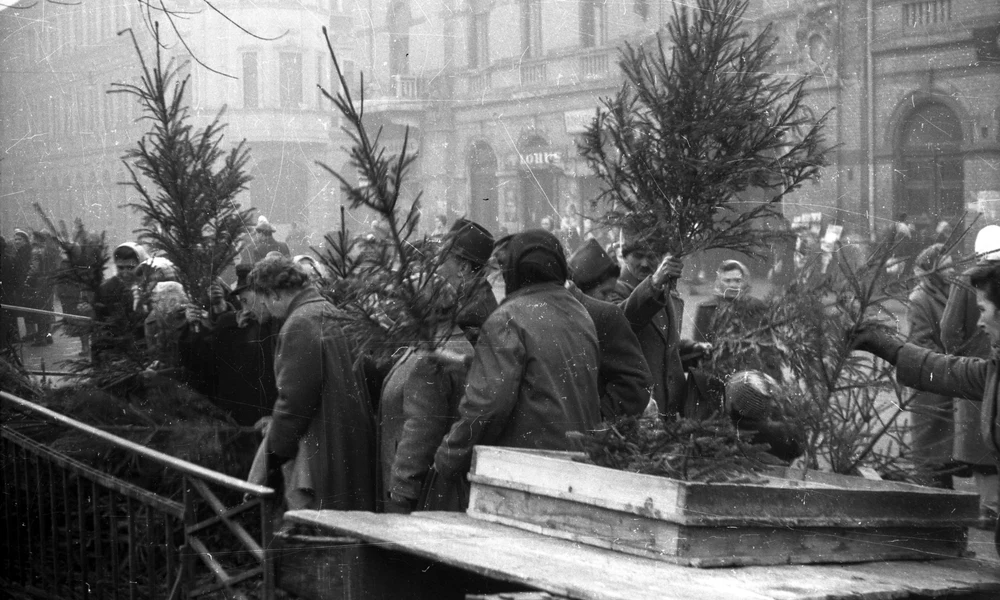 Hunyadi tér, fenyőárus a Vásárcsarnok előtt, 1959 (Fortepan / FSZEK Budapest Gyűjtemény / Sándor György)