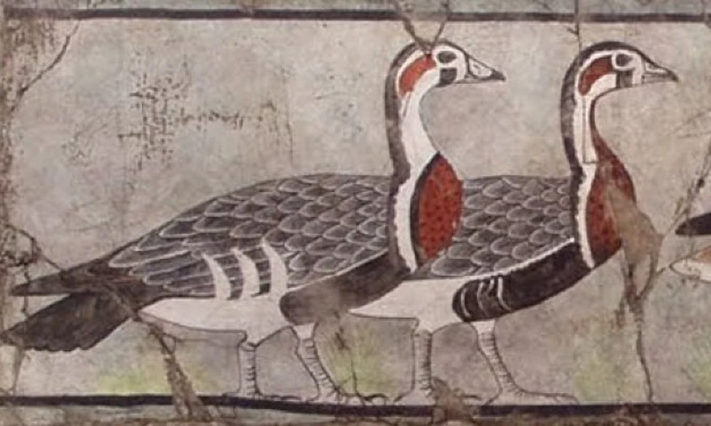 ludak