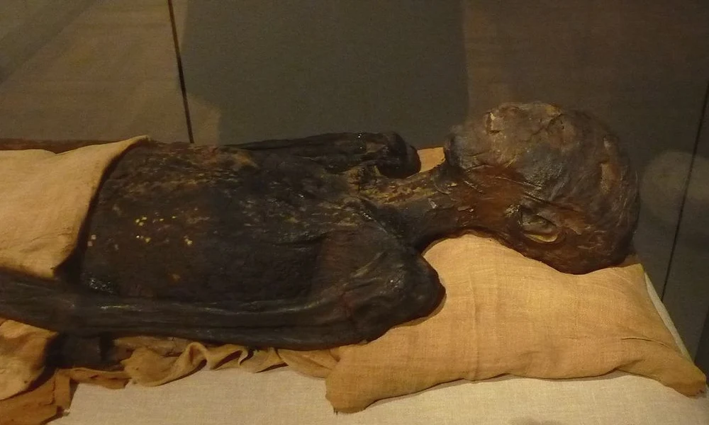 múmia
