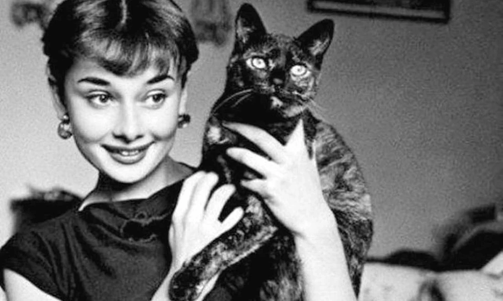 Audrey Hepburn