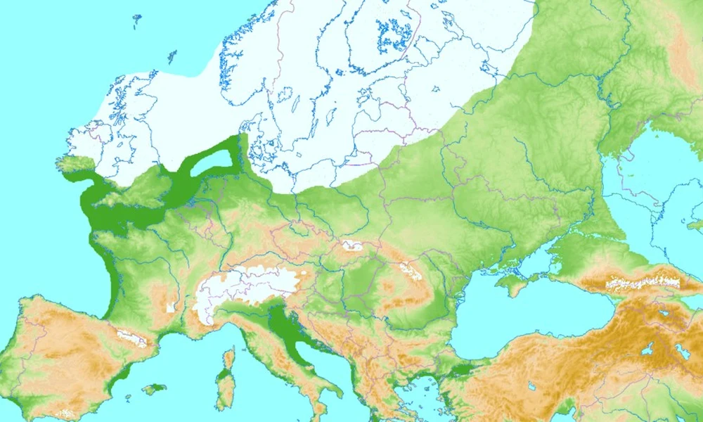 térkép