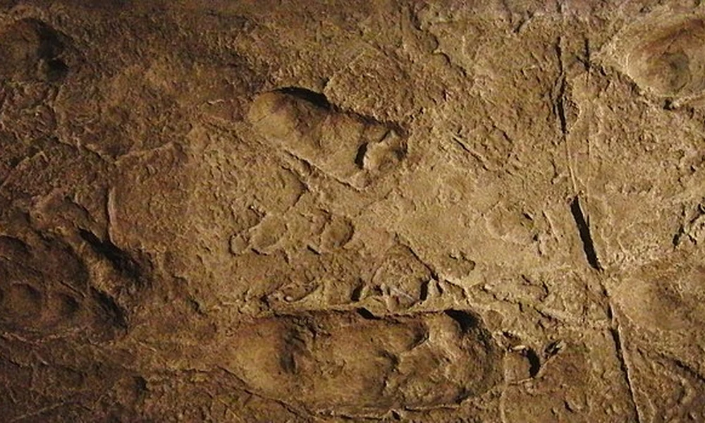 Lábnyomok