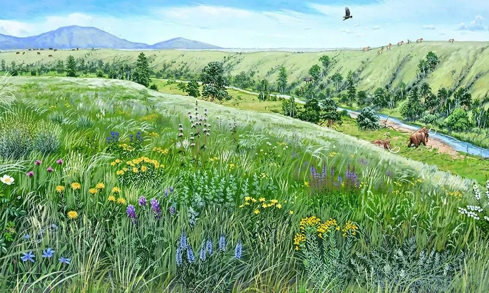 festmény