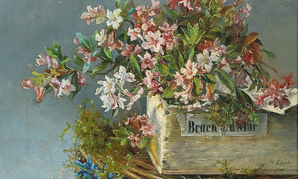 Andreas Lach – alpesi rózsák ablakdobozban