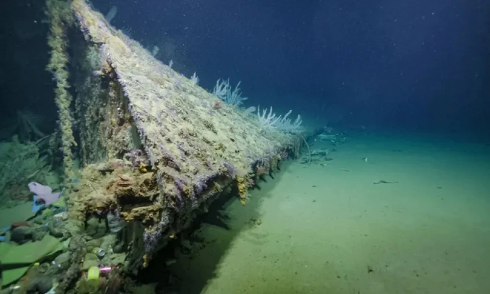 (Forrás: Ocean Exploration Trust / Nautilus Live, NOAA)